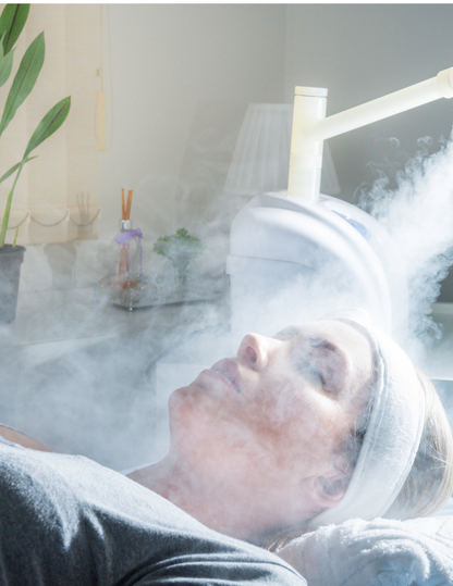 Warm Mist Facial Steamer